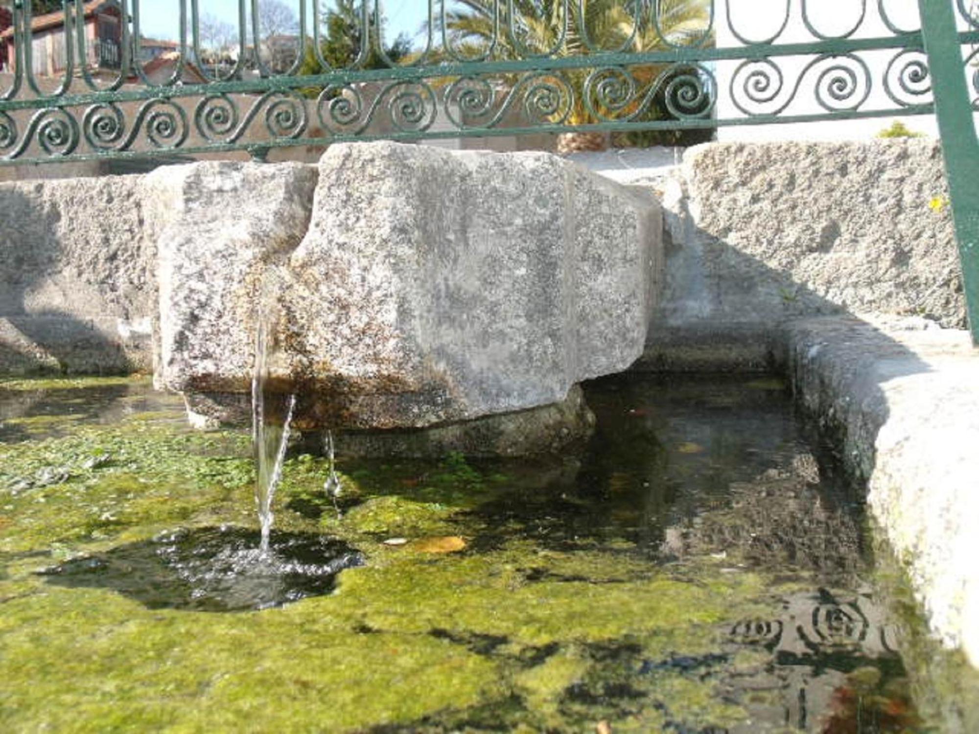 Гостьовий будинок Quinta Da Casa Grande Pinheiro Байан Екстер'єр фото